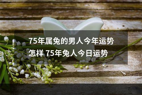75年属兔的男人今年运势怎样 75年兔人今日运势