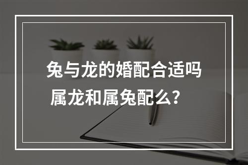 兔与龙的婚配合适吗 属龙和属兔配么？