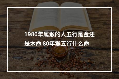 1980年属猴的人五行是金还是木命 80年猴五行什么命