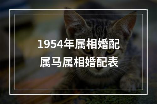 1954年属相婚配 属马属相婚配表