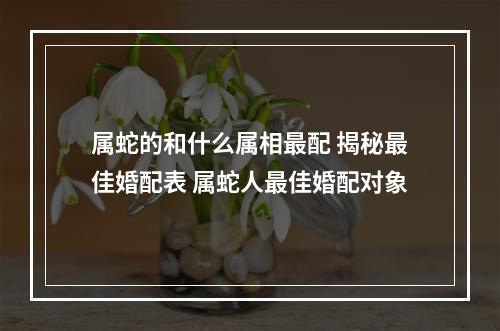 属蛇的和什么属相最配 揭秘最佳婚配表 属蛇人最佳婚配对象
