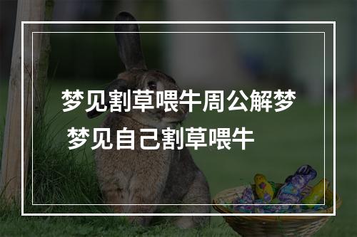 梦见割草喂牛周公解梦 梦见自己割草喂牛