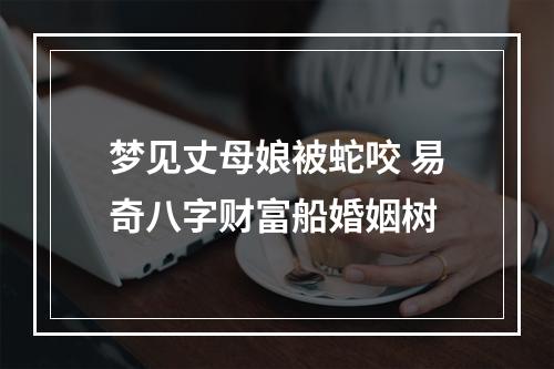 梦见丈母娘被蛇咬 易奇八字财富船婚姻树