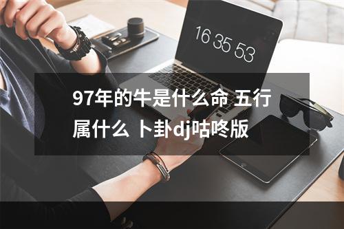 97年的牛是什么命 五行属什么 卜卦dj咕咚版
