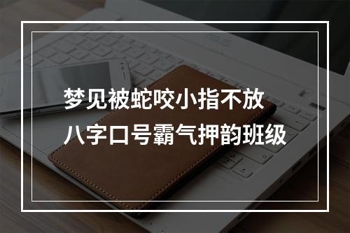 梦见被蛇咬小指不放 八字口号霸气押韵班级