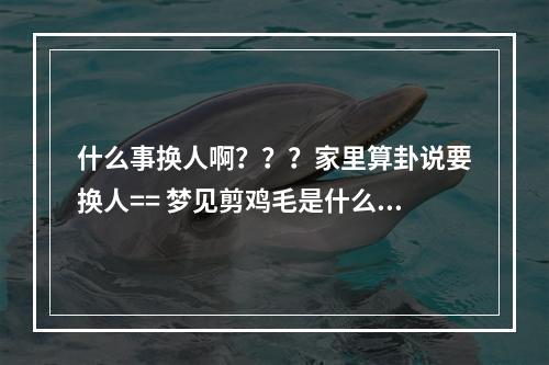 什么事换人啊？？？家里算卦说要换人== 梦见剪鸡毛是什么意思