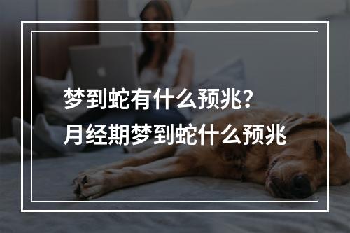 梦到蛇有什么预兆？ 月经期梦到蛇什么预兆