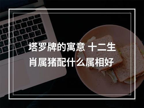 塔罗牌的寓意 十二生肖属猪配什么属相好