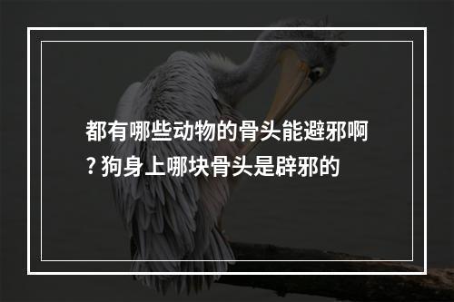 都有哪些动物的骨头能避邪啊? 狗身上哪块骨头是辟邪的