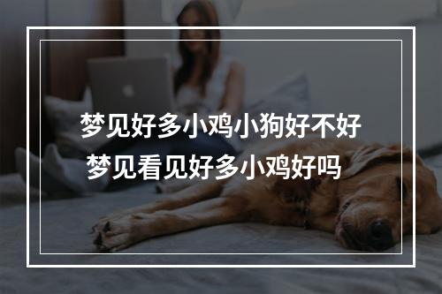 梦见好多小鸡小狗好不好 梦见看见好多小鸡好吗