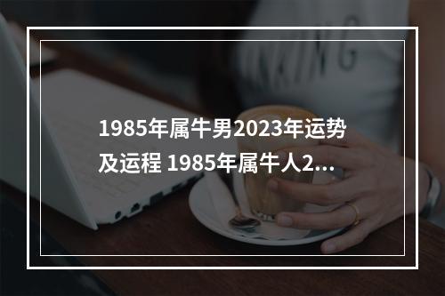 1985年属牛男2023年运势及运程 1985年属牛人2023年运势运程
