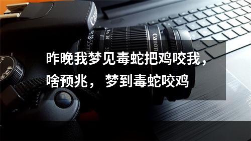 昨晚我梦见毒蛇把鸡咬我，啥预兆， 梦到毒蛇咬鸡