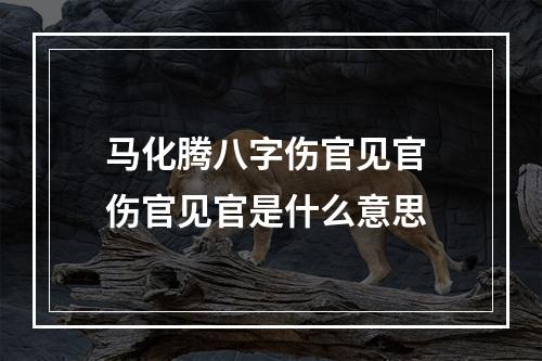 马化腾八字伤官见官 伤官见官是什么意思