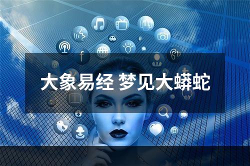 大象易经 梦见大蟒蛇