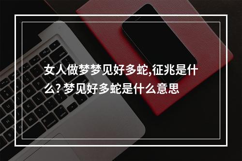 女人做梦梦见好多蛇,征兆是什么? 梦见好多蛇是什么意思
