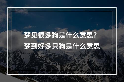 梦见很多狗是什么意思? 梦到好多只狗是什么意思