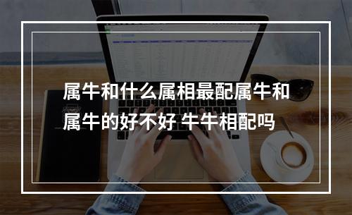 属牛和什么属相最配属牛和属牛的好不好 牛牛相配吗