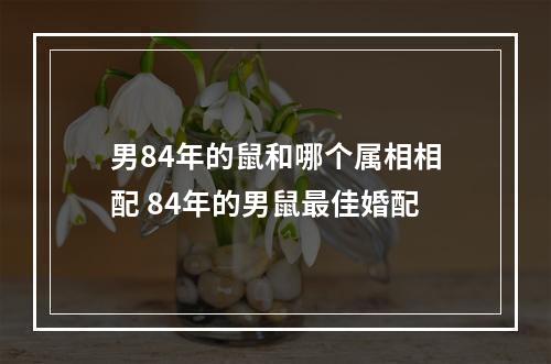 男84年的鼠和哪个属相相配 84年的男鼠最佳婚配