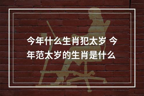 今年什么生肖犯太岁 今年范太岁的生肖是什么