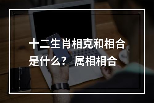 十二生肖相克和相合是什么？ 属相相合