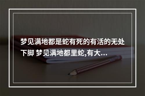 梦见满地都是蛇有死的有活的无处下脚 梦见满地都里蛇,有大有小,有活有死