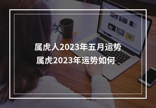 属虎人2023年五月运势 属虎2023年运势如何