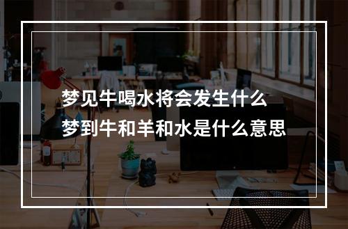 梦见牛喝水将会发生什么 梦到牛和羊和水是什么意思