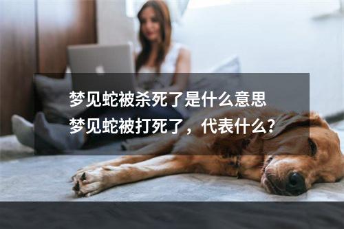 梦见蛇被杀死了是什么意思 梦见蛇被打死了，代表什么？