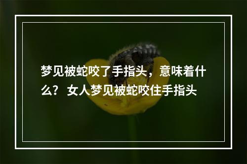 梦见被蛇咬了手指头，意味着什么？ 女人梦见被蛇咬住手指头