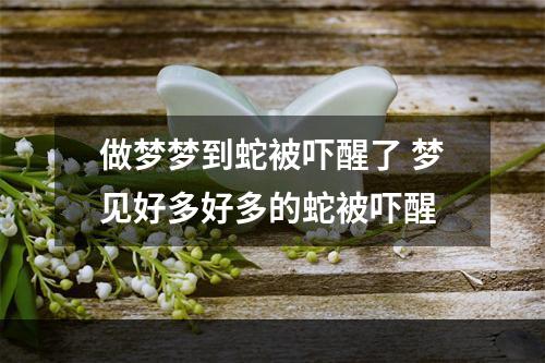 做梦梦到蛇被吓醒了 梦见好多好多的蛇被吓醒