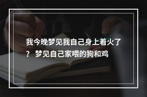 我今晚梦见我自己身上着火了？ 梦见自己家喂的狗和鸡