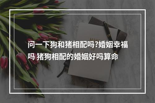 问一下狗和猪相配吗?婚姻幸福吗 猪狗相配的婚姻好吗算命