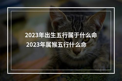 2023年出生五行属于什么命 2023年属猴五行什么命
