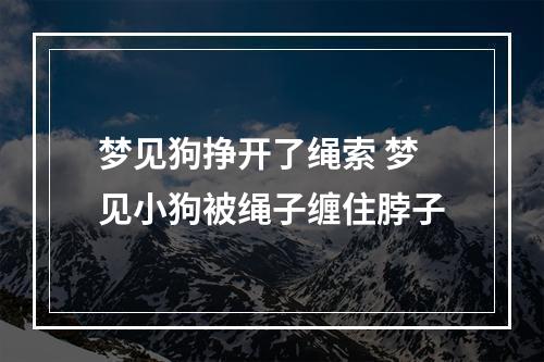 梦见狗挣开了绳索 梦见小狗被绳子缠住脖子