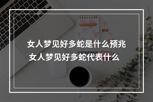 女人梦见好多蛇是什么预兆 女人梦见好多蛇代表什么