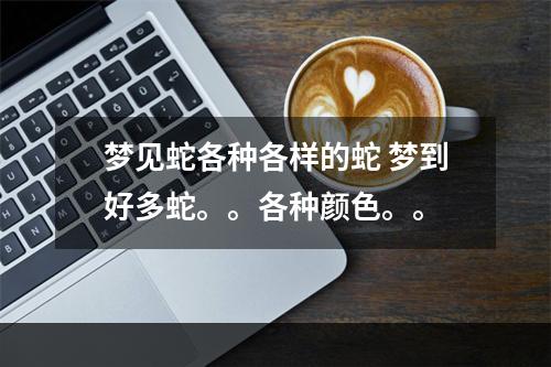 梦见蛇各种各样的蛇 梦到好多蛇。。各种颜色。。