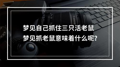 梦见自己抓住三只活老鼠 梦见抓老鼠意味着什么呢？