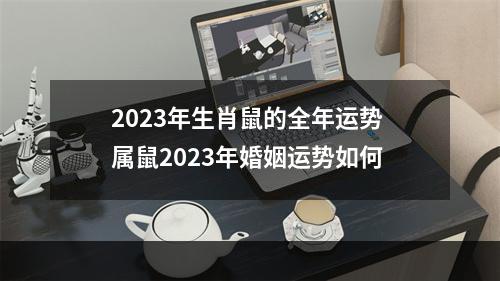 2023年生肖鼠的全年运势 属鼠2023年婚姻运势如何