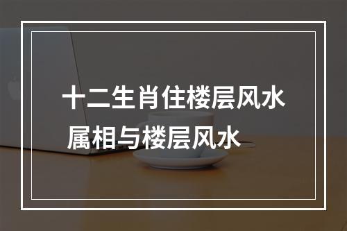 十二生肖住楼层风水 属相与楼层风水