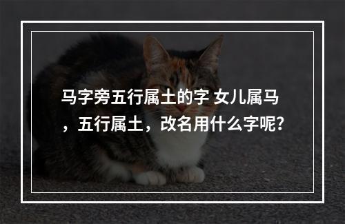 马字旁五行属土的字 女儿属马，五行属土，改名用什么字呢？