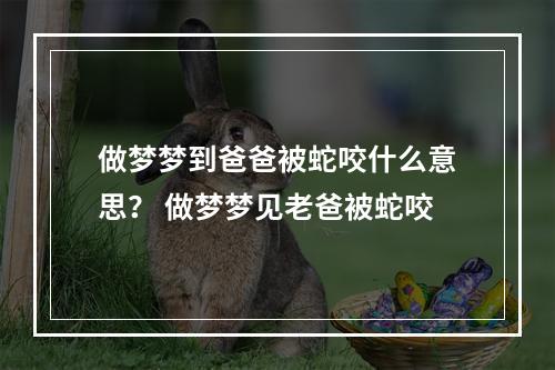 做梦梦到爸爸被蛇咬什么意思？ 做梦梦见老爸被蛇咬
