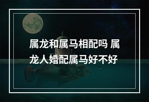 属龙和属马相配吗 属龙人婚配属马好不好