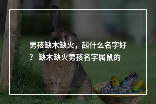 男孩缺木缺火，起什么名字好？ 缺木缺火男孩名字属鼠的