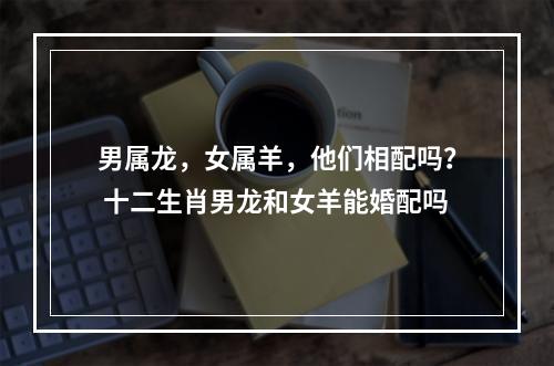 男属龙，女属羊，他们相配吗？ 十二生肖男龙和女羊能婚配吗