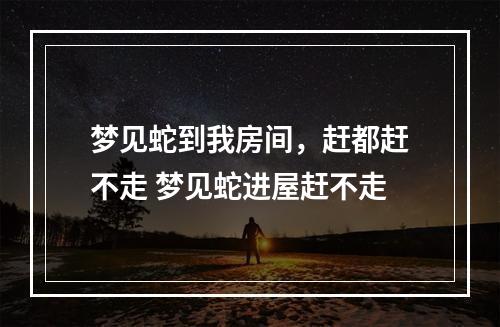 梦见蛇到我房间，赶都赶不走 梦见蛇进屋赶不走