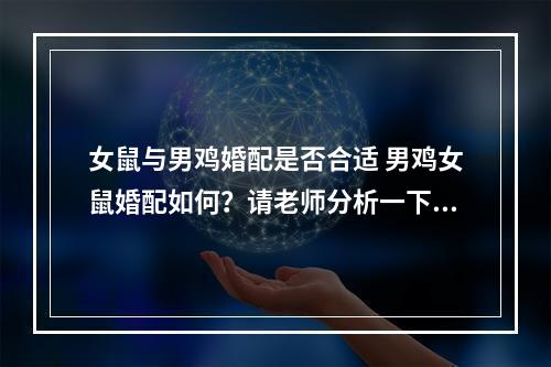 女鼠与男鸡婚配是否合适 男鸡女鼠婚配如何？请老师分析一下！！