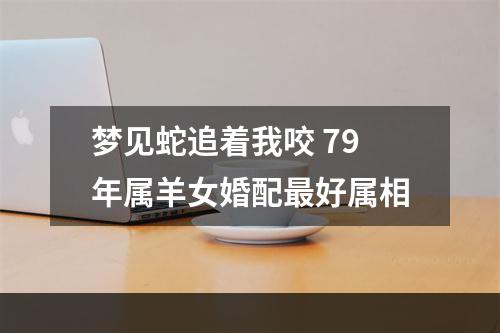 梦见蛇追着我咬 79年属羊女婚配最好属相