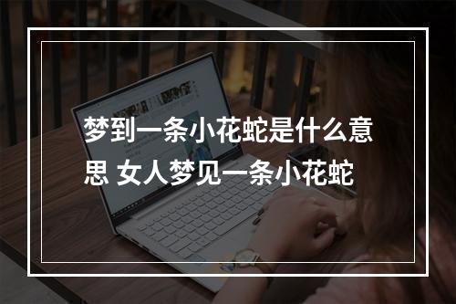 梦到一条小花蛇是什么意思 女人梦见一条小花蛇