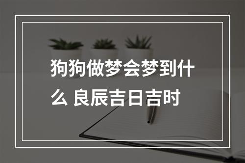 狗狗做梦会梦到什么 良辰吉日吉时