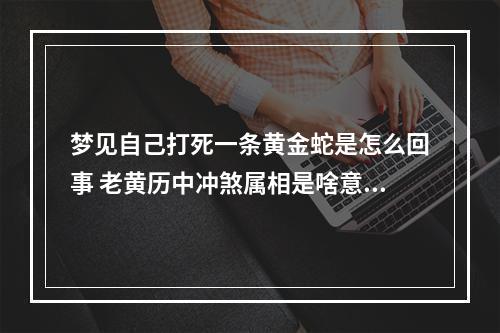 梦见自己打死一条黄金蛇是怎么回事 老黄历中冲煞属相是啥意思？